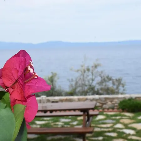 Apartment Aphrodite , Charming Apt With Stunning View! *